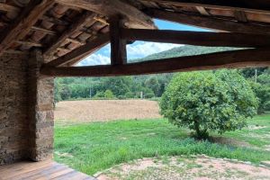 IMG_0954.jpeg