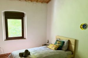 IMG_6883.jpeg