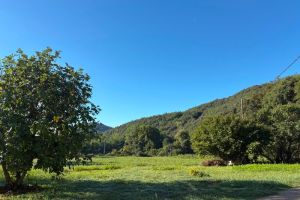 IMG_1285.jpeg