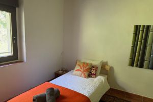 IMG_7017.jpeg