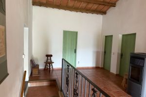 IMG_7113.jpeg