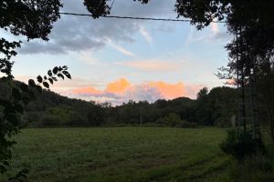IMG_1306.jpeg