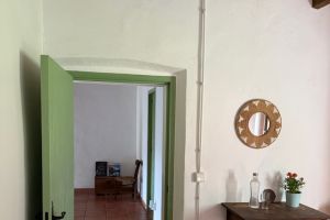 IMG_7102.jpeg
