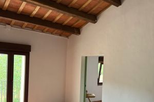 IMG_7109.jpeg