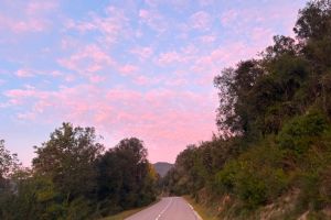 IMG_1567.jpeg